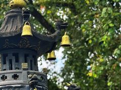 -国恩寺