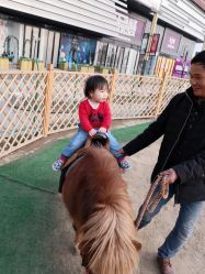 -萌宠亲子动物乐园(槐房万达店)