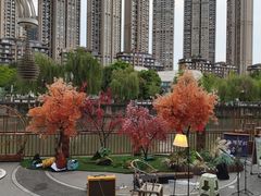 -成都市活水公园