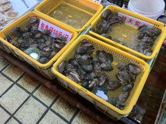 -蛇口市场