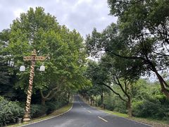 -宜兴龙背山森林公园