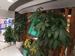 -银座mall(东直门店)