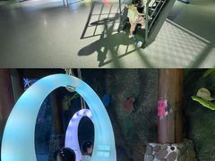 -泉城欧乐堡海洋极地世界