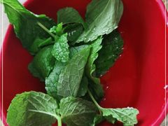 -攀枝花·任德琼·盐边羊肉米线