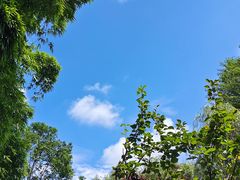 -贵阳市花溪国家城市湿地公园