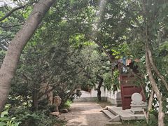 -北陵公园