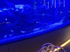 -上和臻品中国菜(花园街店)