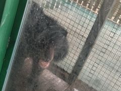 -泉州海丝野生动物世界