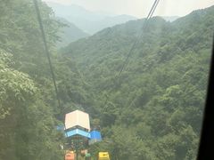 -王顺山国家森林公园