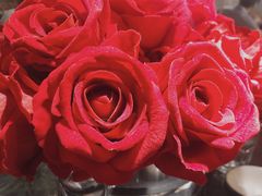 -华豫川酒家(大卫城店)