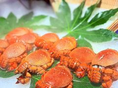 -初色海鲜自助(万丰路店)
