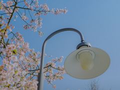 -静安雕塑公园