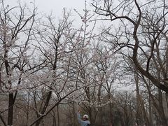 景点-阳台山自然风景区
