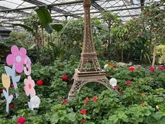 -南宫五洲植物乐园