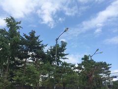 -景福宫