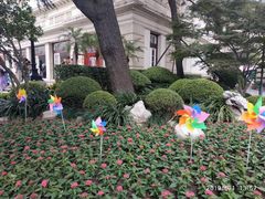 -中国福利会少年宫
