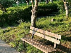 -青枫公园