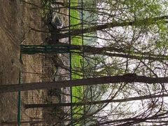 -森林公园(尖草坪区)