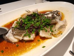 -南麓·浙里(外滩店)