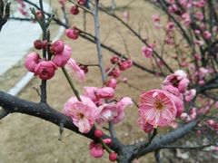 -公益图书馆(江南大学店)