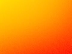 -见味花甲(福田coco park店)