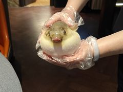 -肆月河豚·淮扬菜·湘菜(华天店)
