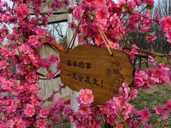 -北京凤凰岭