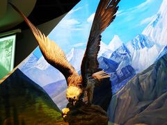 -陕西自然博物馆