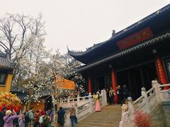 -灵谷景区