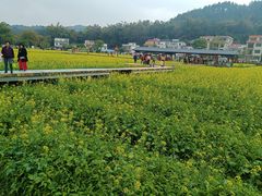 -红山村