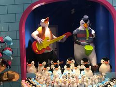 -秦皇岛乐岛海洋王国