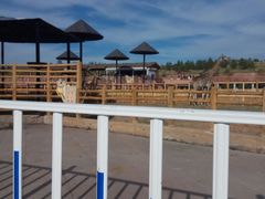 -鄂尔多斯野生动物园