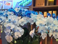 -顺峰(农展馆店)
