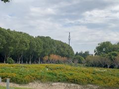 -华东政法大学(松江校区)