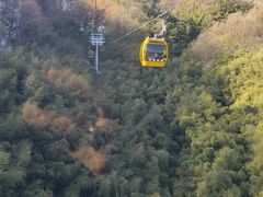 -栾川竹海野生动物园