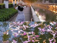 -广东圆玄道观