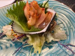 赤贝刺身-雪月花(长江北路店)