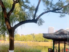 -西海子公园