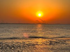 -seeu coffee(江滩店)