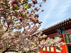 -北京颐和宾馆