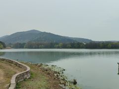 -长广溪湿地公园