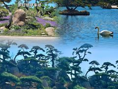 -罗红摄影艺术馆