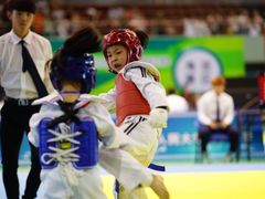 -陈中跆拳道(中关村馆)