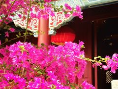 -南沙天后宫景区