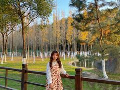 -艾溪湖湿地公园