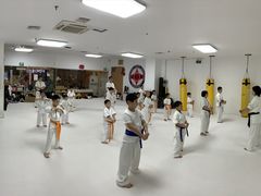 -极真空手道疾风道场(虹口凉城店)