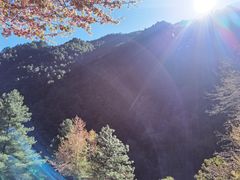 -苍山感通索道