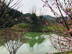 -常德桃花源景区