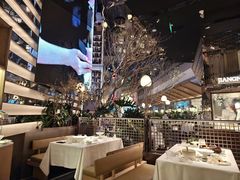 -桂满陇·海市蜃楼·黑金(国金店)