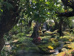 -Chom Cafe and Restaurant